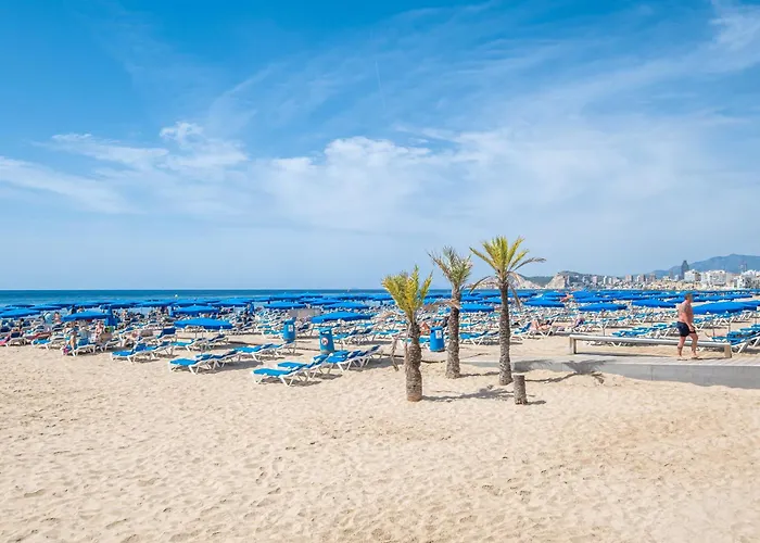 Santa Margarita Deluxe 14-b Levante *